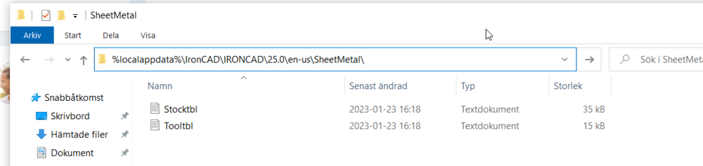 Trial 2023 SP1 installs, but will not load - General Discussion ...